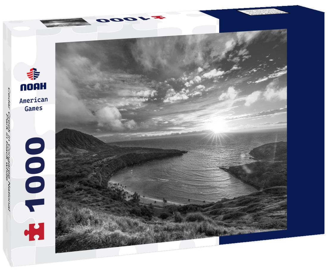 Noah Jigsaw Puzzle Cedar Creek in Congaree National Park in black white 1000 pieces