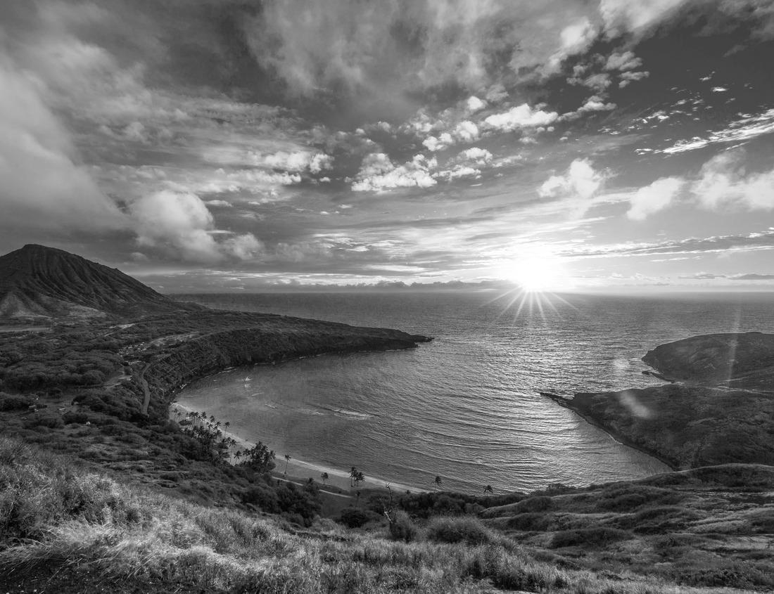 Noah Jigsaw Puzzle Cedar Creek in Congaree National Park in black white 1000 pieces
