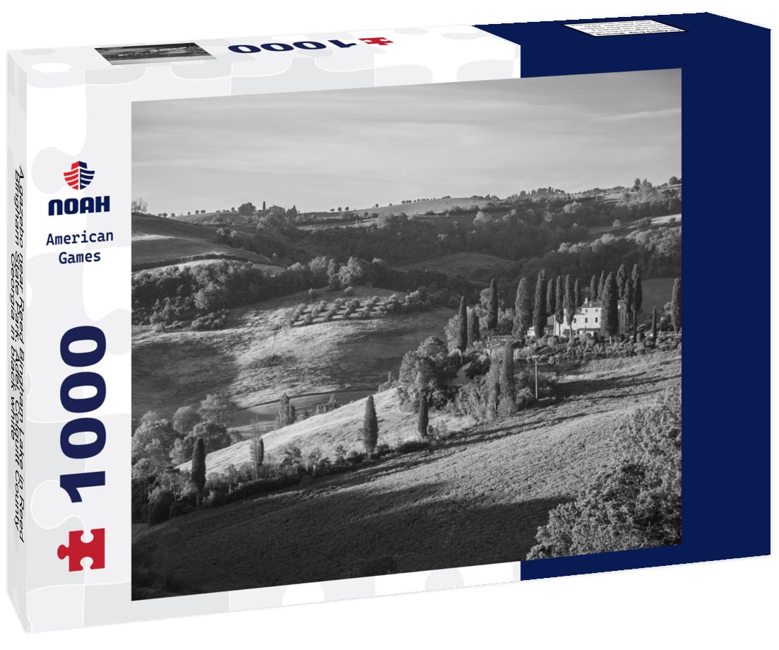 Noah Jigsaw Puzzle A gazebo near Reed Bingham Lake in Reed Bingham State Park, Adel, Colquitt County, Georgia in black white 1000 pieces