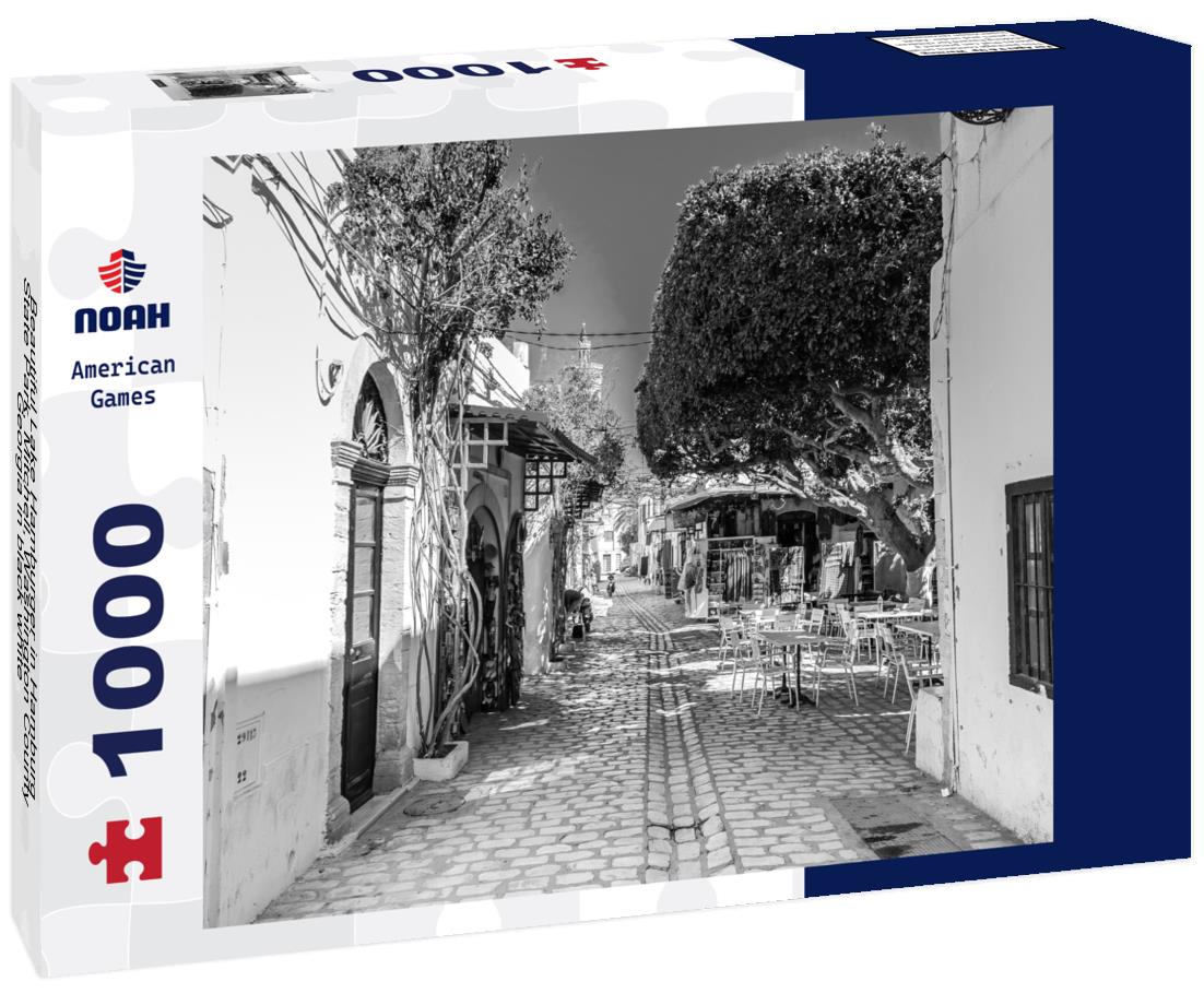 Noah Jigsaw Puzzle Beautiful Lake Hamburger in Hamburg State Park, Mitchell, Washington County, Georgia in black white 1000 pieces