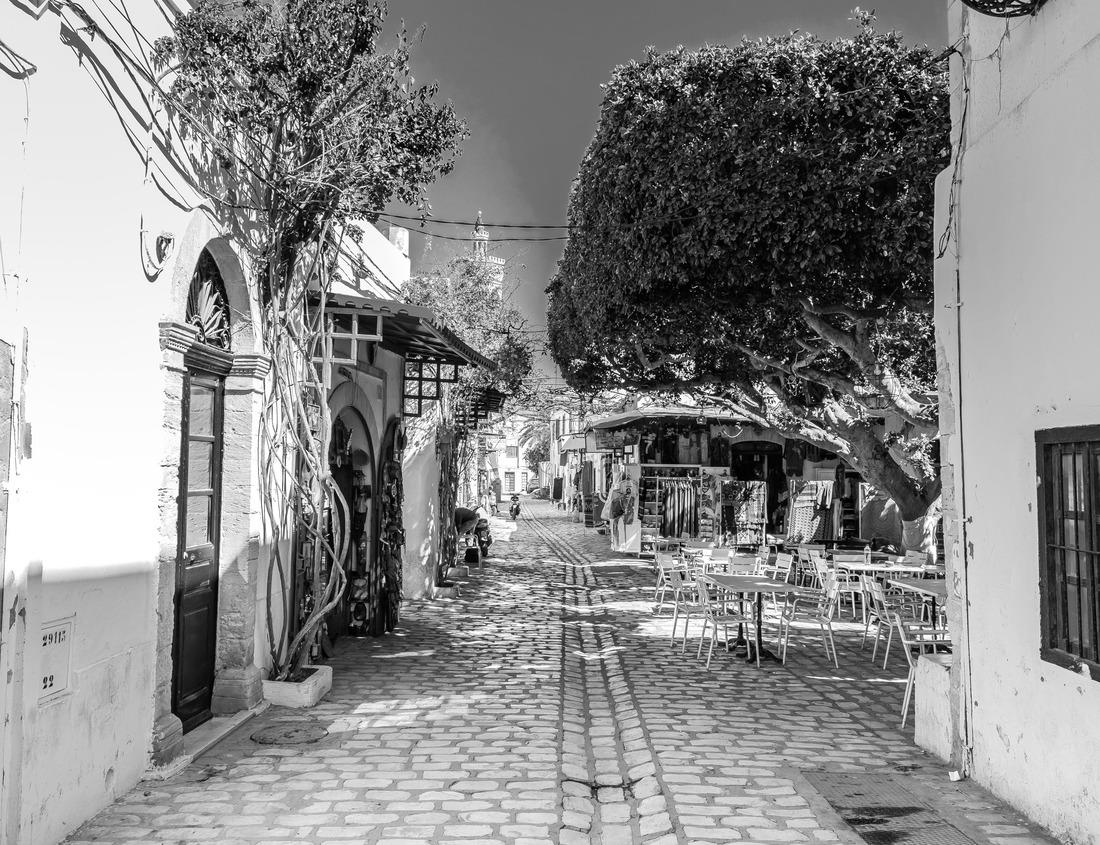 Noah Jigsaw Puzzle Beautiful Lake Hamburger in Hamburg State Park, Mitchell, Washington County, Georgia in black white 1000 pieces