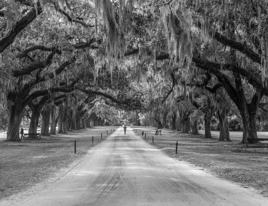 Noah Jigsaw Puzzle Aerial view of the Dover Castle. The most iconic of all English fortresses. English castle on top of the hill in black white 1000 pieces