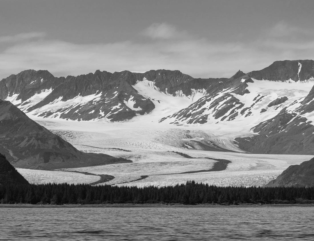 Noah Jigsaw Puzzle Bassano del Grappa panoramic view on a sunny day from the old wooden bridge in black white 1000 pieces