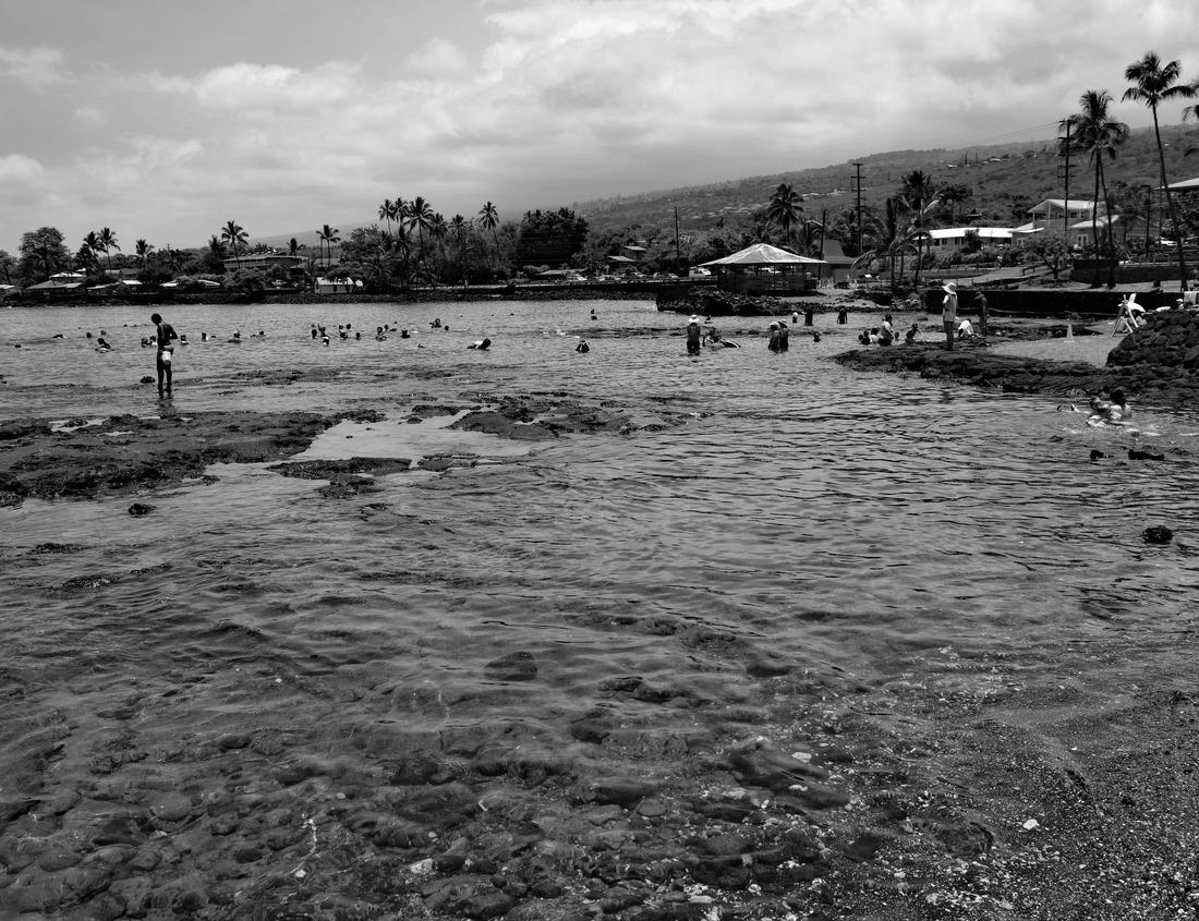 Noah Jigsaw Puzzle Bull moose in front of Grand Tetons in black white 1000 pieces