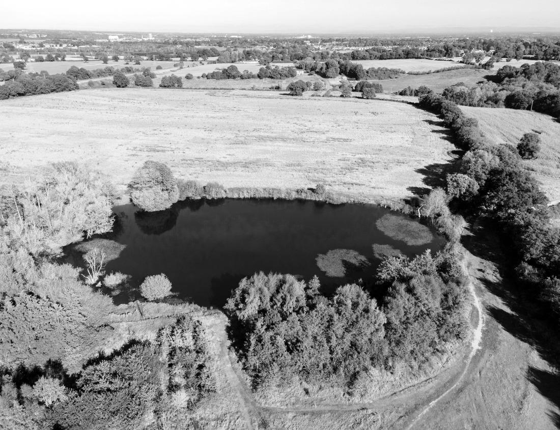 Noah Jigsaw Puzzle Aerial View of the Twin Cities Suburb of Lakeville, Minnesota in black white 1000 pieces