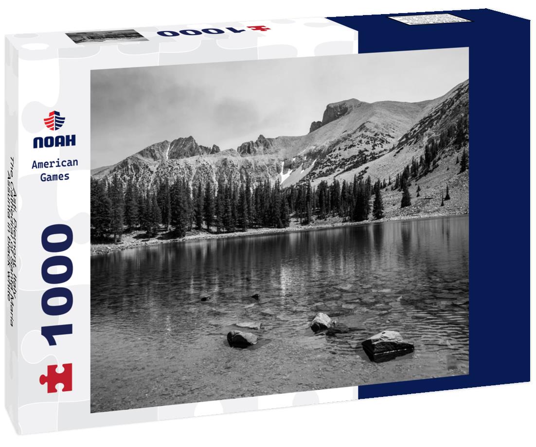 Noah Jigsaw Puzzle Asti, Piemont, Italy - The Cathedral of Santa Maria Assunta in black white 1000 pieces