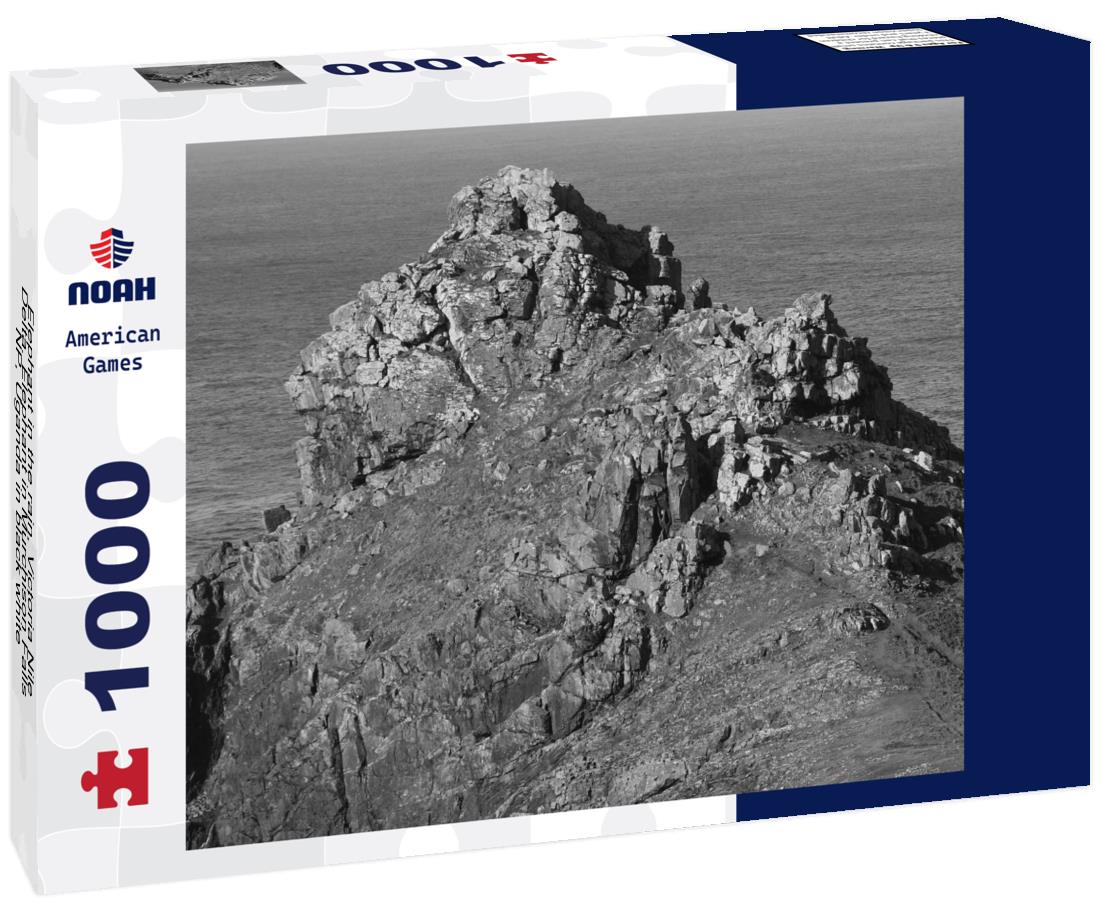 Noah Jigsaw Puzzle Elephant in the rain, Victoria Nile Delta. Elephant in Murchison Falls NP, Uganda in black white 1000 pieces