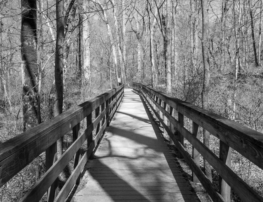 Noah Jigsaw Puzzle Downtown Chicago at night with warm-colored sky. City lights reflected in Lake Michigan in black white 1000 pieces