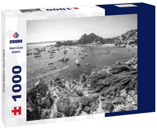 Noah Jigsaw Puzzle Lake Jesup fishing pier in Oviedo, FL in black white 1000 pieces