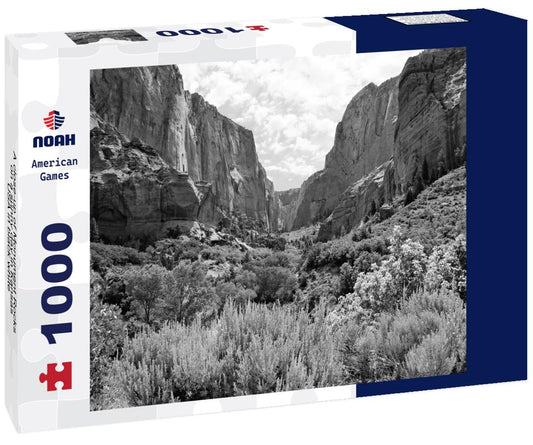 Noah Jigsaw Puzzle A close-up of Monument Rocks on a sunny day in Kansas, USA in black white 1000 pieces