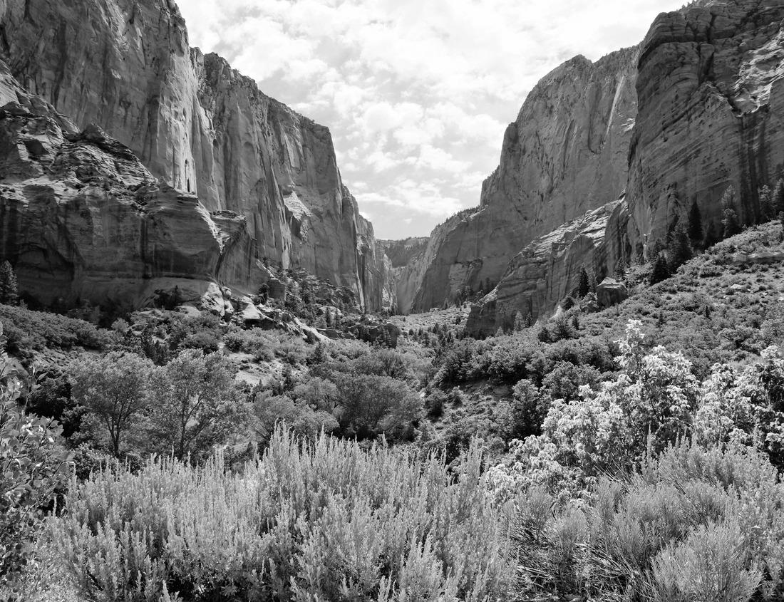 Noah Jigsaw Puzzle A close-up of Monument Rocks on a sunny day in Kansas, USA in black white 1000 pieces