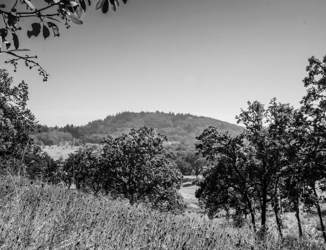Noah Jigsaw Puzzle Captivating summer view of the waterfall in the village of Lauterbrunnen. Splendid outdoor scene in the Swiss Alps, Bernese Oberland in the Canton of Bern, Switzerland in black white 1000 pieces