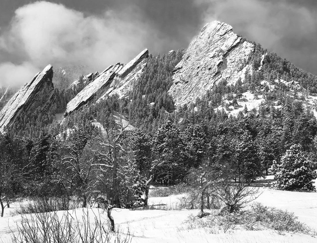 Noah Jigsaw Puzzle East greenwich rhode island waterfront scenes in black white 1000 pieces