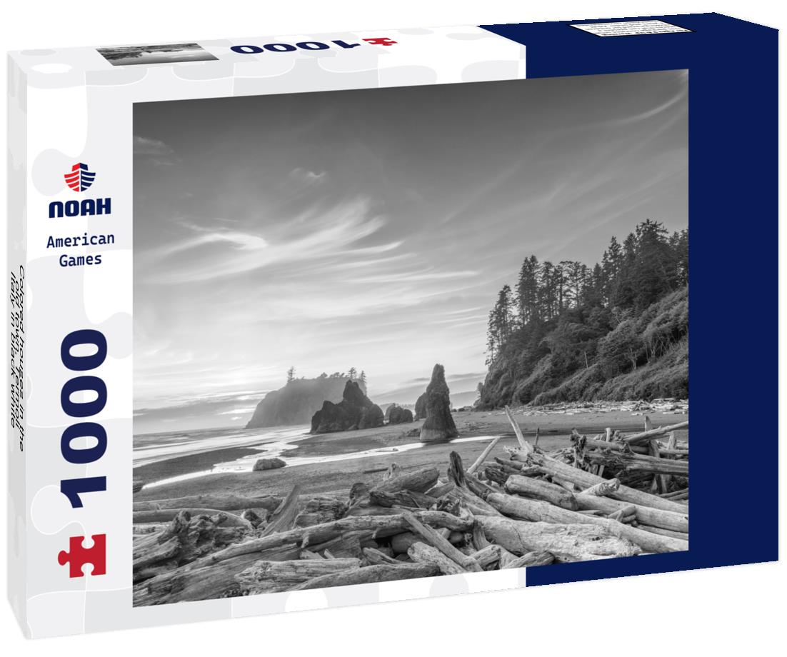 Noah Jigsaw Puzzle Colored houses in the old town, Termoli, Italy in black white 1000 pieces