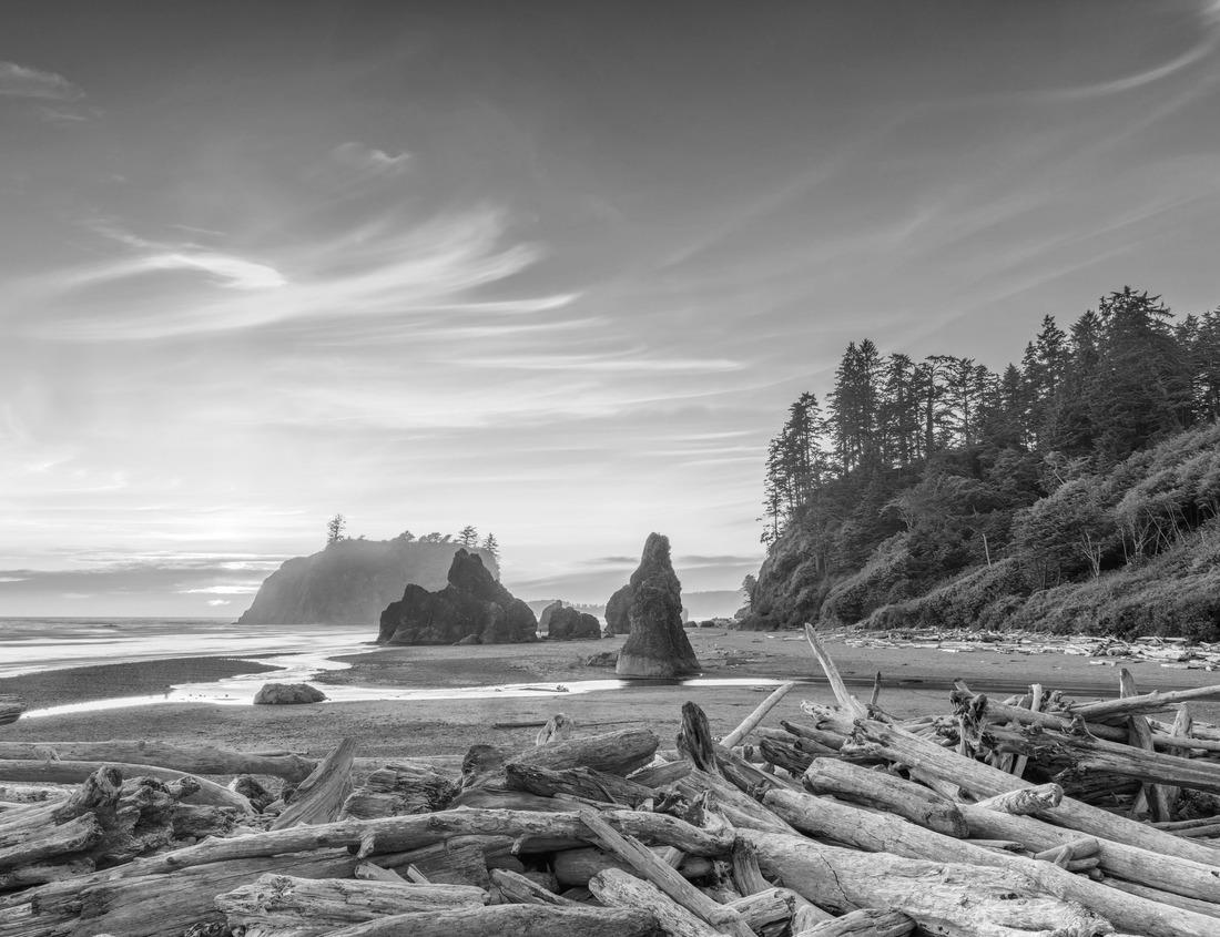 Noah Jigsaw Puzzle Colored houses in the old town, Termoli, Italy in black white 1000 pieces