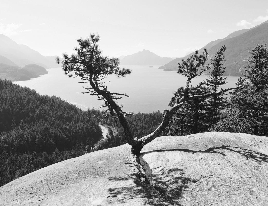 Noah Jigsaw Puzzle Morricana waterfalls in Monti della Laga, Abruzzo, Italy, in the fall season with red and orange leaves in black white 1000 pieces