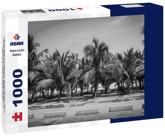 Noah Jigsaw Puzzle Landscape photograph of the Mossy Cave area of Bryce Canyon National Park in Utah at sunrise in black white 1000 pieces