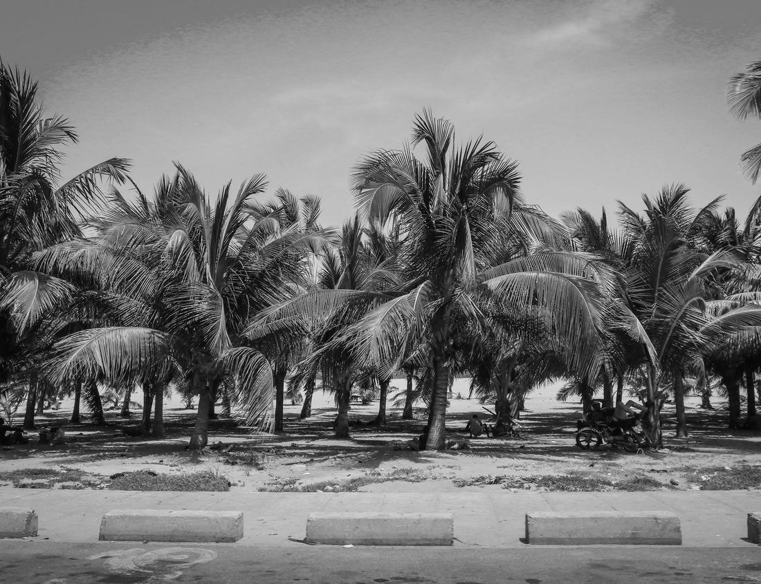 Noah Jigsaw Puzzle Landscape photograph of the Mossy Cave area of Bryce Canyon National Park in Utah at sunrise in black white 1000 pieces