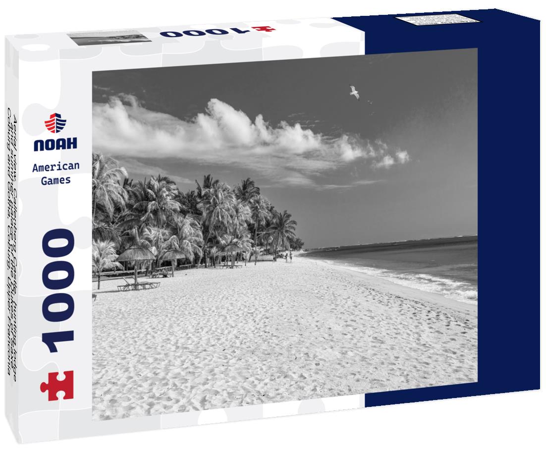 Noah Jigsaw Puzzle Aerial view, Callenberg Castle, hunting lodge and summer palace of the Dukes of Saxe-Coburg and Gotha, Coburg, Upper Franconia, Bavaria, Germany in black white 1000 pieces