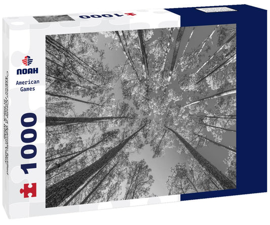 Noah Jigsaw Puzzle Compton Castle a dramatic fortified Manor House in Devon Valley in black white 1000 pieces