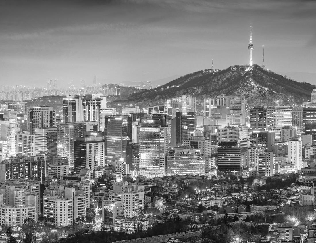 Noah Jigsaw Puzzle Elephants fight, young men, in the Kazinga Channel Queen Elizabeth NP in Uganda. Young men in the water with pink hyacinth blooming, wild nature. Wildlife Uganda. Elephant behavior in black white 1000 pieces