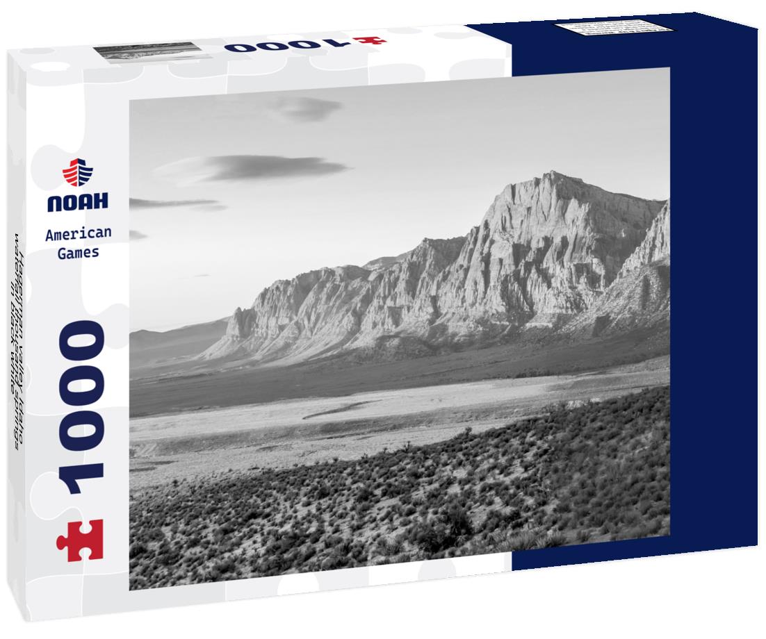 Noah Jigsaw Puzzle Hagerman valley Idaho waterfall thousand springs in black white 1000 pieces