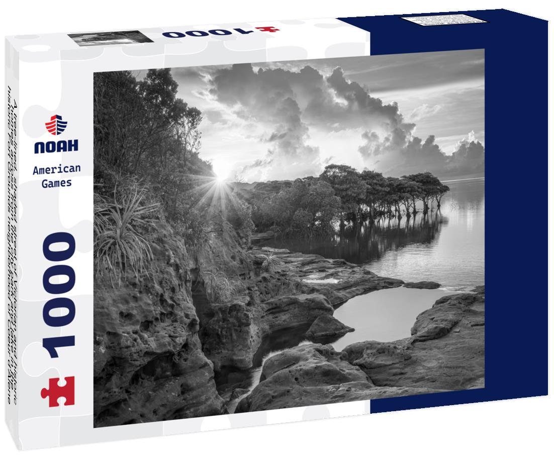 Noah Jigsaw Puzzle A tree-lined, shaded street of Victorian and historic homes across from the city park and lake in the historic Fort Grounds neighborhood of Coeur d'Alene, Idaho, USA in black white 1000 pieces