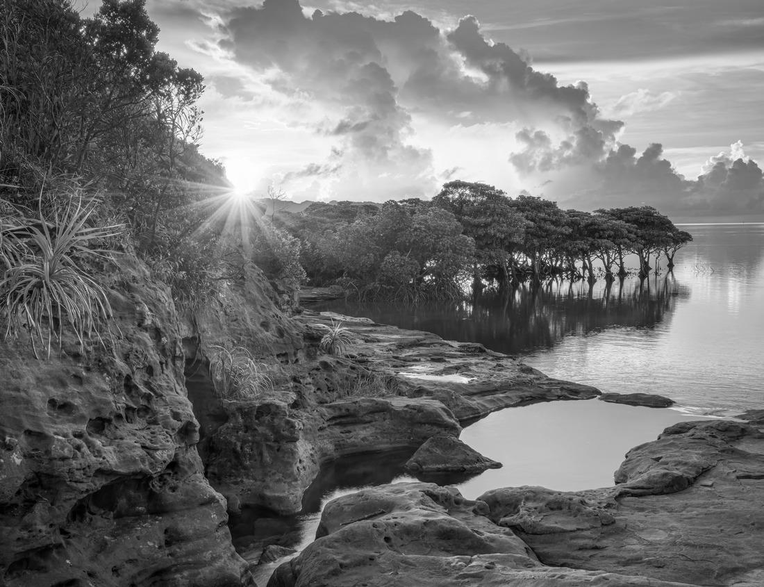 Noah Jigsaw Puzzle A tree-lined, shaded street of Victorian and historic homes across from the city park and lake in the historic Fort Grounds neighborhood of Coeur d'Alene, Idaho, USA in black white 1000 pieces