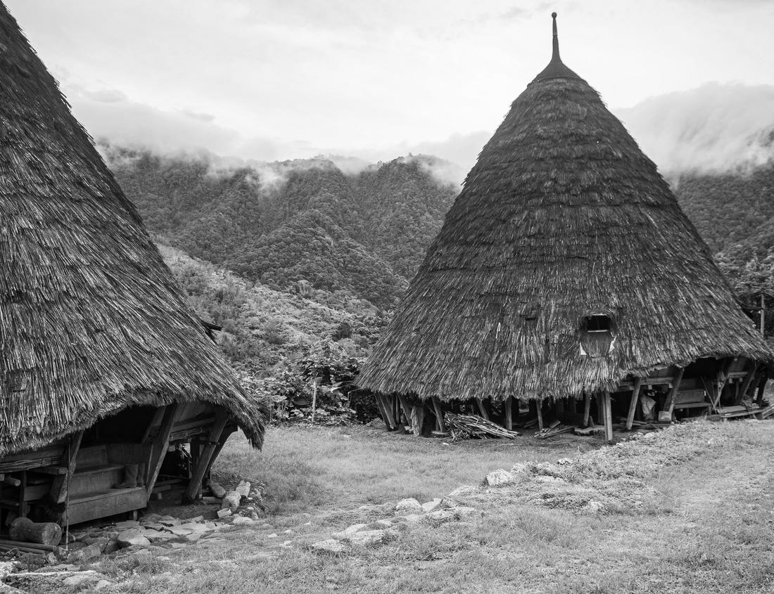 Noah Jigsaw Puzzle Hot springs in the geothermal area of Semuliki National Park, scenic landscape in Uganda in black white 1000 pieces