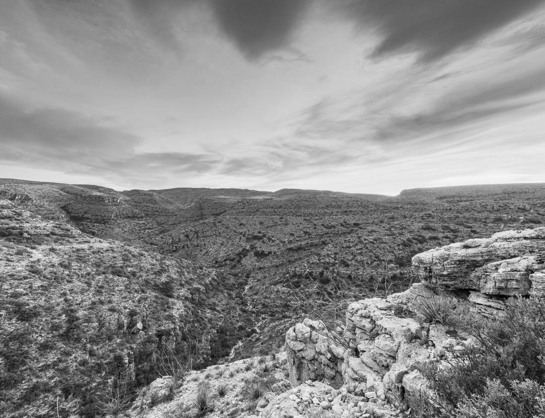 Noah Jigsaw Puzzle Aerial View of Downtown Visalia, California in Spring in black white 1000 pieces