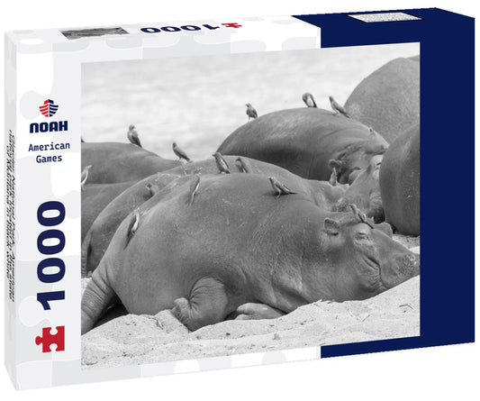 Noah Jigsaw Puzzle Glacier National Park. American national park located in the state of Montana in black white 1000 pieces