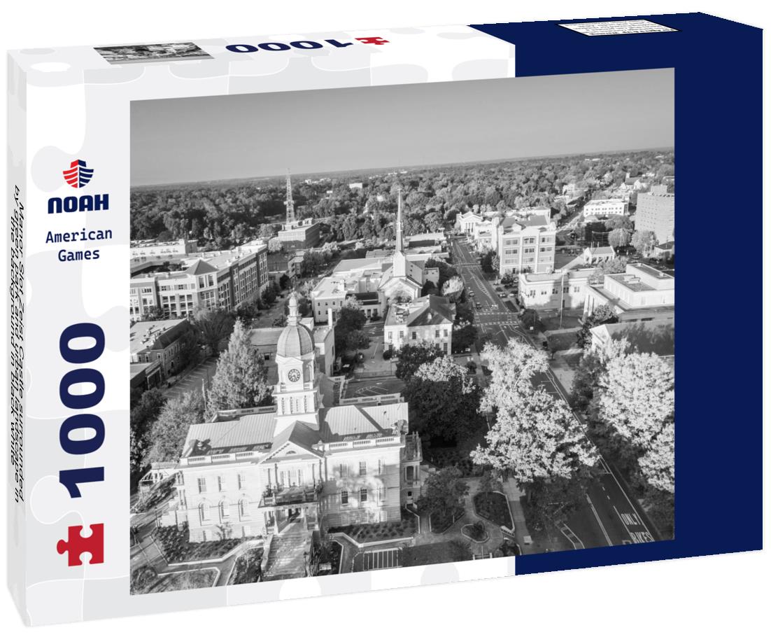 Noah Jigsaw Puzzle Manor Slot Zeist Castle surrounded by green park and urban landscape in the background in black white 1000 pieces