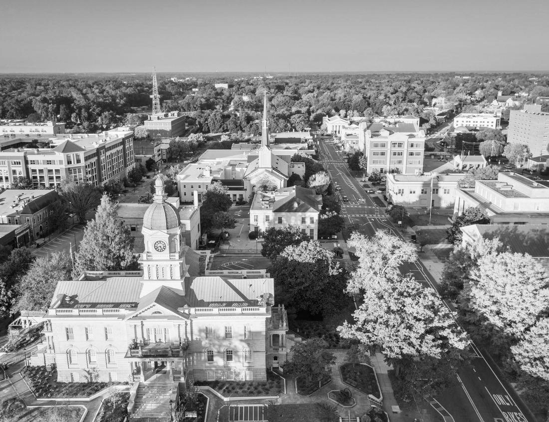 Noah Jigsaw Puzzle Manor Slot Zeist Castle surrounded by green park and urban landscape in the background in black white 1000 pieces