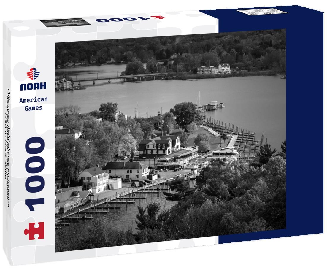 Noah Jigsaw Puzzle Afternoon light shines on housing near downtown Gary, Indiana, USA in black white 1000 pieces