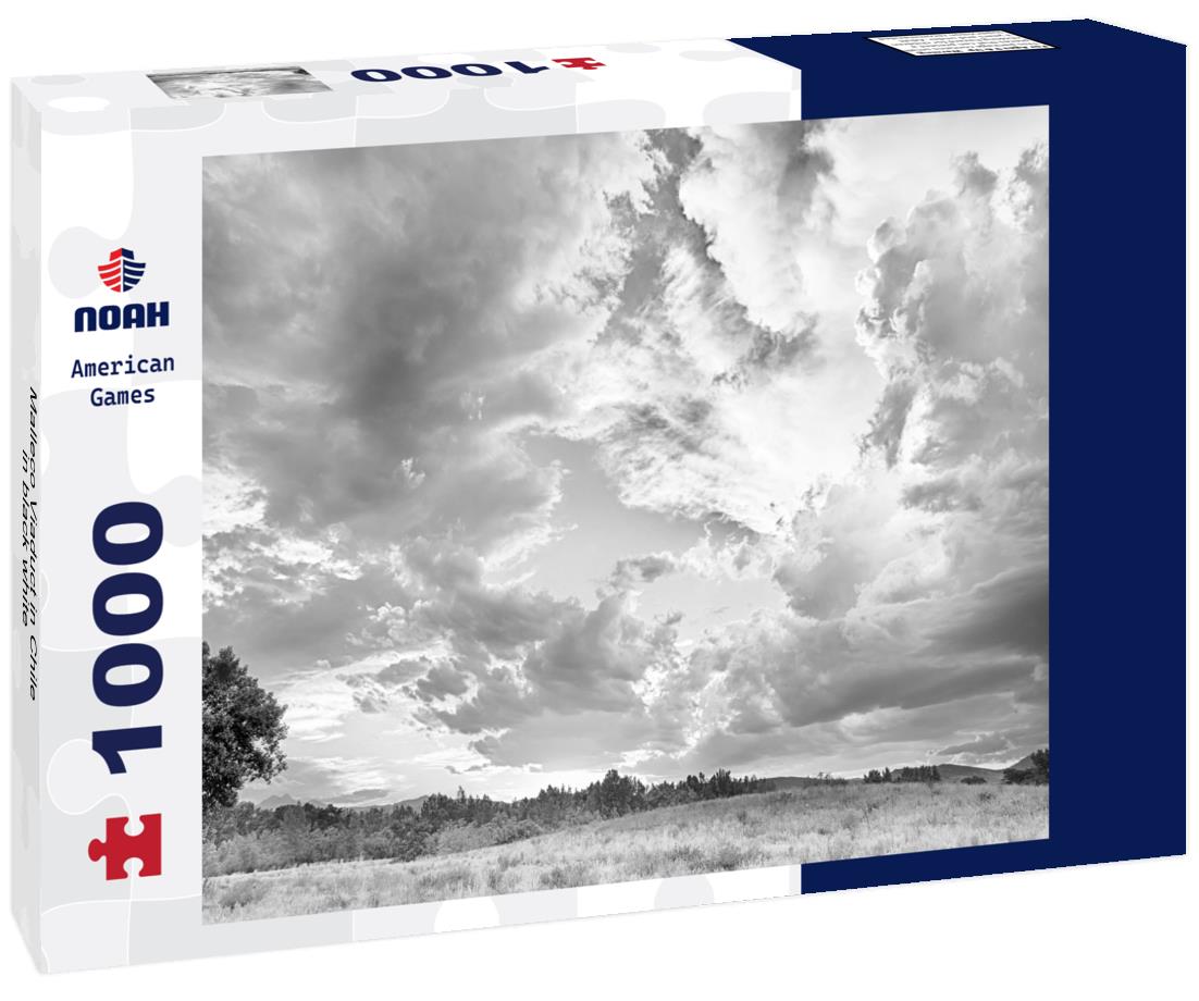 Noah Jigsaw Puzzle Malleco Viaduct in Chile in black white 1000 pieces