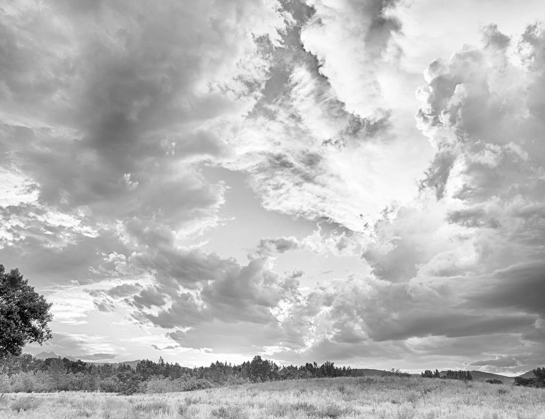 Noah Jigsaw Puzzle Malleco Viaduct in Chile in black white 1000 pieces