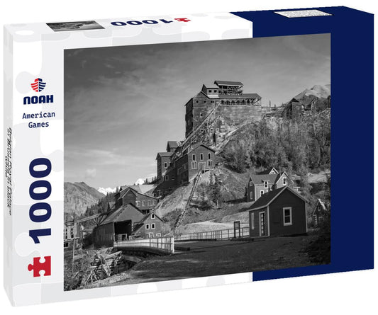 Noah Jigsaw Puzzle Belgian Royal Palace in Brussels in black white 1000 pieces