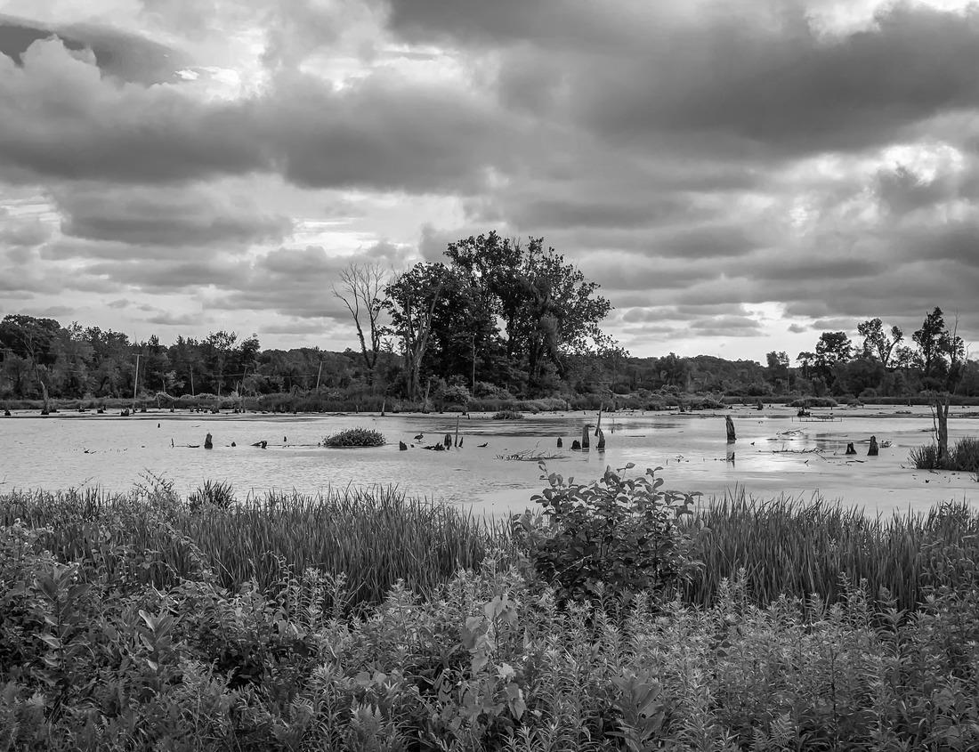 Noah Jigsaw Puzzle Beautiful view of Cultus Lake, BC, Canada, Chilliwack in black white 1000 pieces