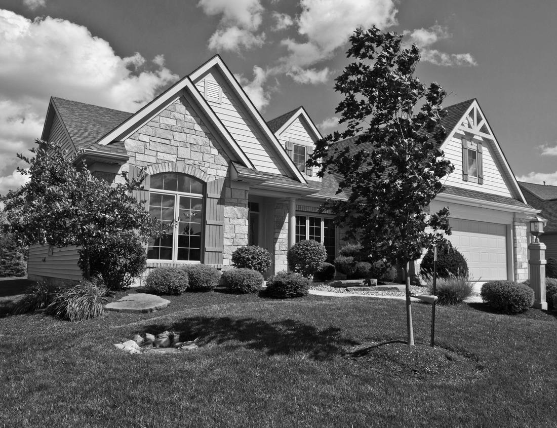 Noah Jigsaw Puzzle Beautiful vineyards in the Valley of the River Douro, Portugal, Portugal. Portuguese port wine. Terrace fields in black white 1000 pieces