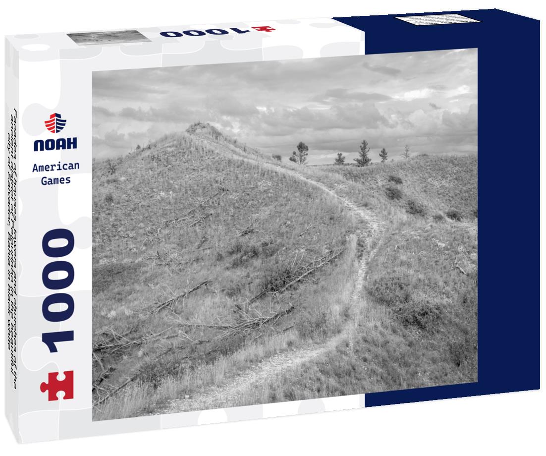 Noah Jigsaw Puzzle Facades of houses, towers and churches of the ancient district of Pelourinho in the beautiful city of Salvador, Bahia in black white 1000 pieces