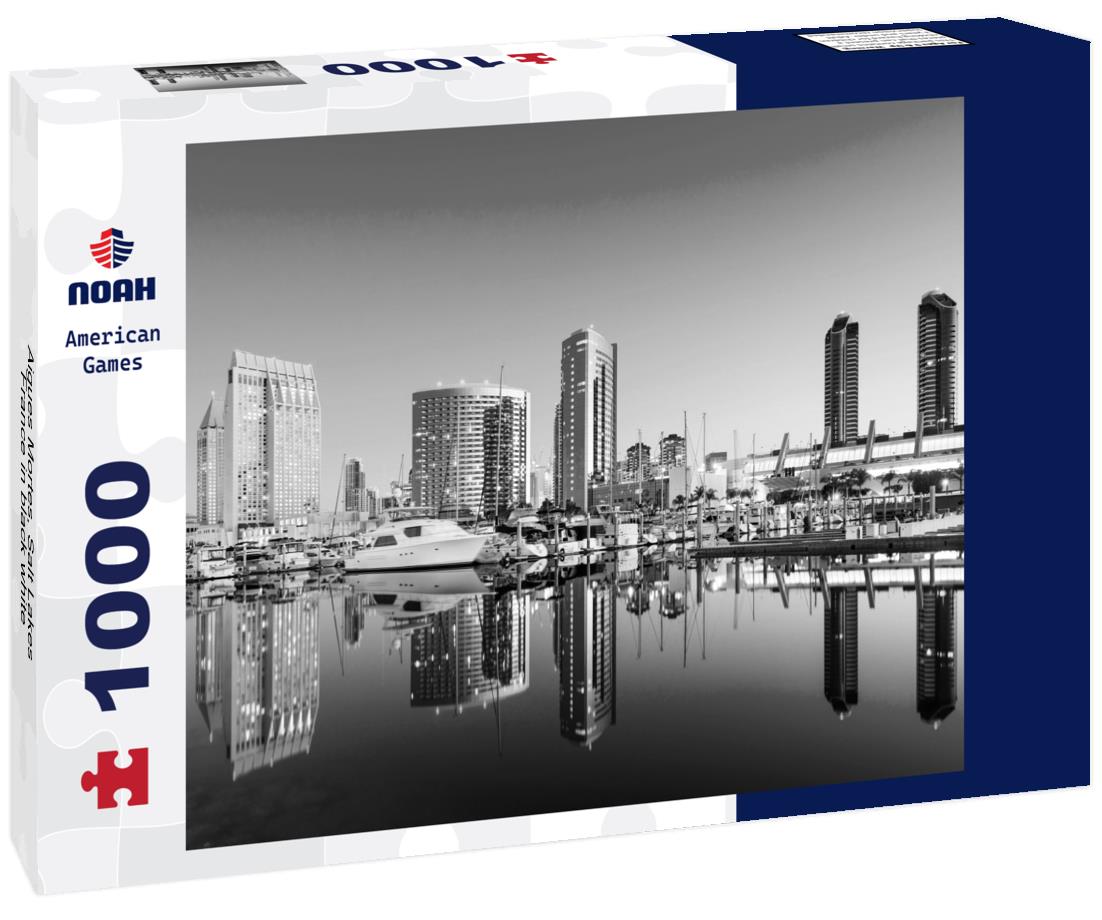 Noah Jigsaw Puzzle Aigues Mortes, Salt Lakes, France in black white 1000 pieces