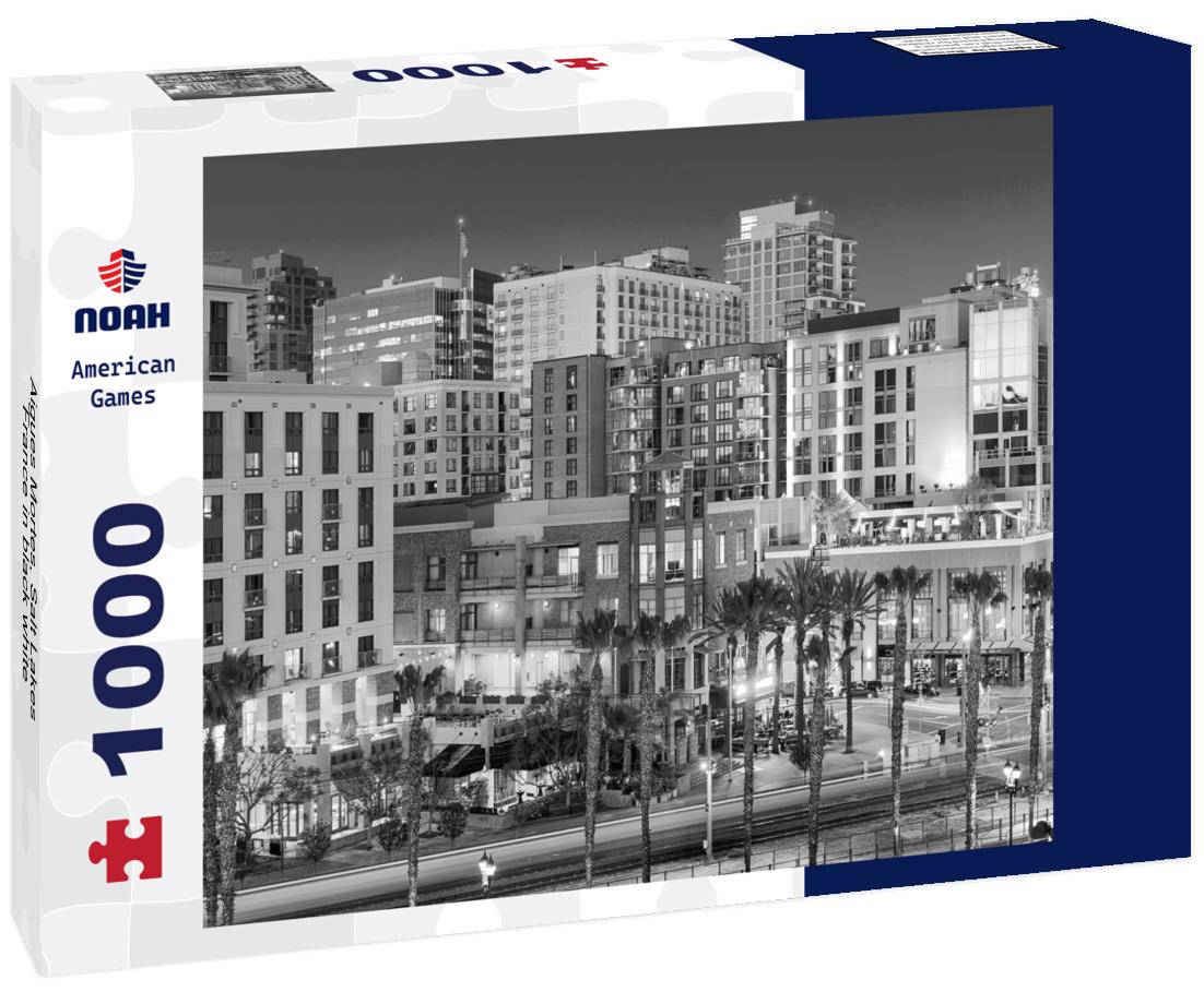 Noah Jigsaw Puzzle Aigues Mortes, Salt Lakes, France in black white 1000 pieces