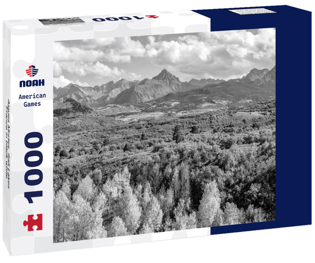 Noah Jigsaw Puzzle Aigues Mortes, Salt Lakes, France in black white 1000 pieces