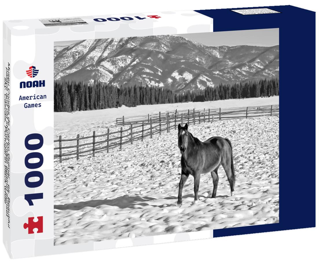 Noah Jigsaw Puzzle Museu Condes de Castro Guimarães, Beautiful palace and old stone bridge against sunset sky. Cascais, Portugal in black white 1000 pieces