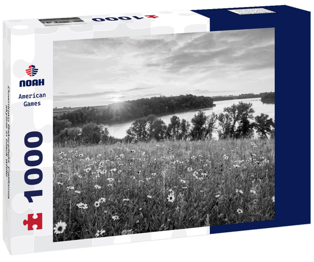 Noah Jigsaw Puzzle Downtown Bakersfield, California skyline in black white 1000 pieces