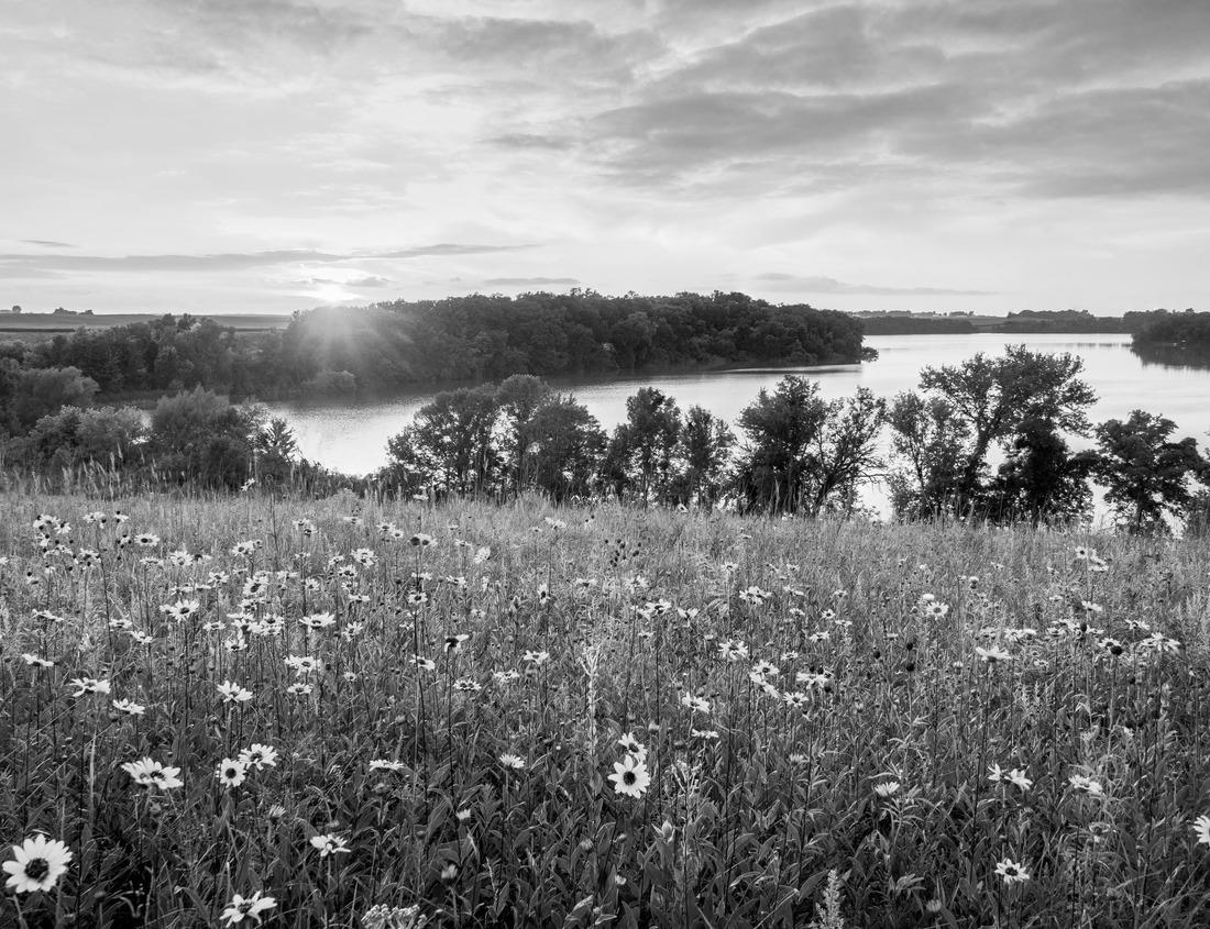 Noah Jigsaw Puzzle Downtown Bakersfield, California skyline in black white 1000 pieces