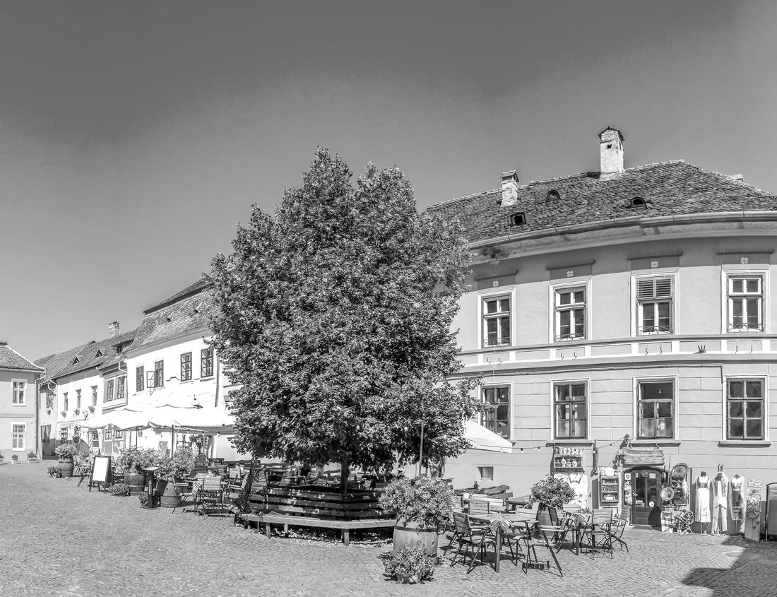 Noah Jigsaw Puzzle Mountain gorilla with a small baby - wildlife. Mountain gorilla, Mgahinga National Park in Uganda in black white 1000 pieces