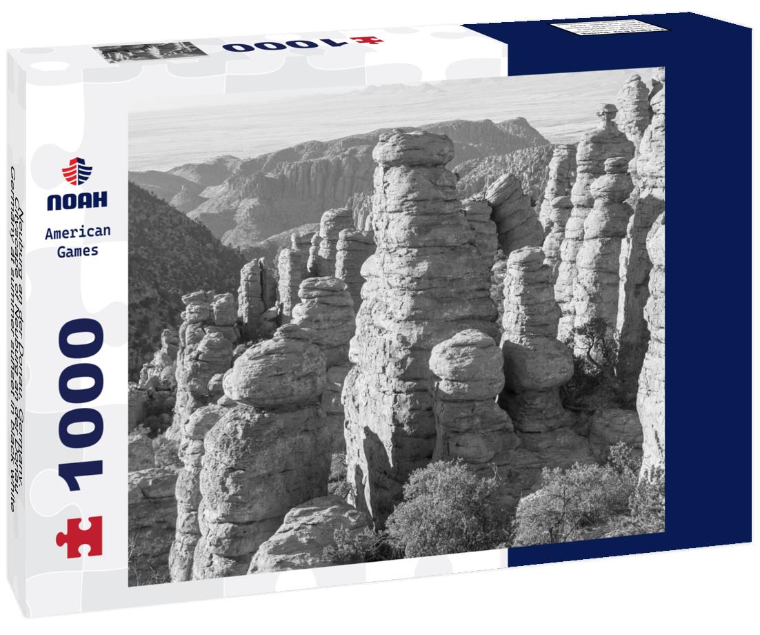 Noah Jigsaw Puzzle Neuburg an der Donau, Germany. Cityscape of Neuburg an der Donau, Germany at summer sunset in black white 1000 pieces