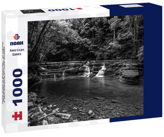 Noah Jigsaw Puzzle Historic town of Breisach with a view of the roofs and cathedral, Baden-Württemberg in black white 1000 pieces