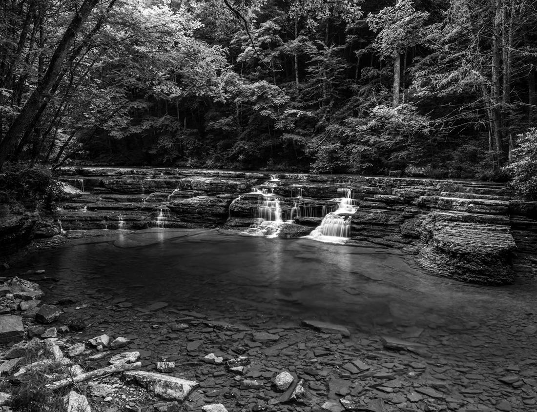 Noah Jigsaw Puzzle Historic town of Breisach with a view of the roofs and cathedral, Baden-Württemberg in black white 1000 pieces